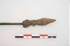 Foto von Bronzemehrkopfnadel (NHMW-PRAE-024867)